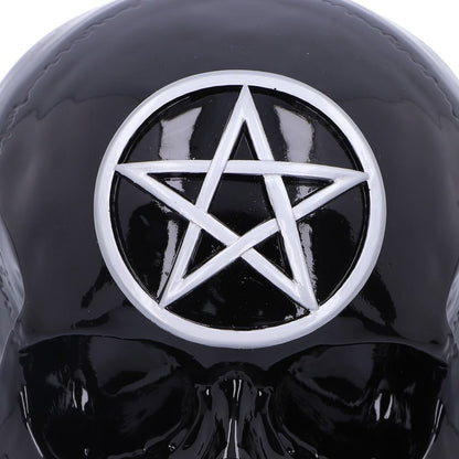 Black Magic 19.5cm