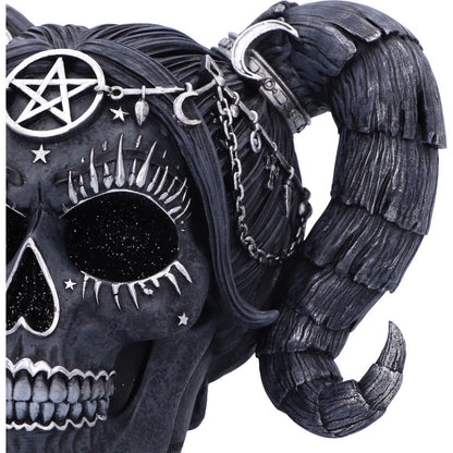 Drop Dead Gorgeous - Solve and Coagula 20.5cm