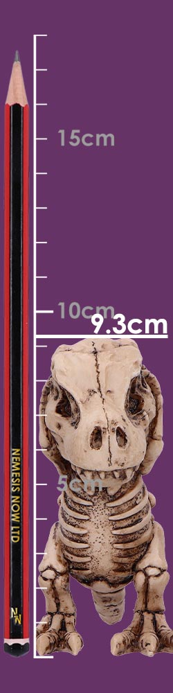 Three Wise Tyrannosaurus Rex Skeletons 9.3cm