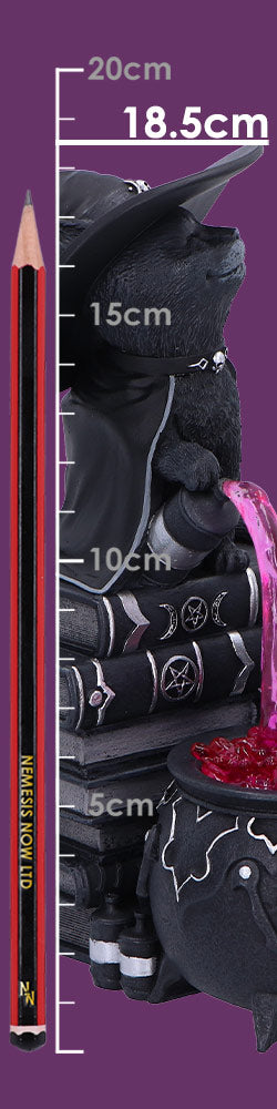 Cult Cuties Curious Cauldron 18.5cm