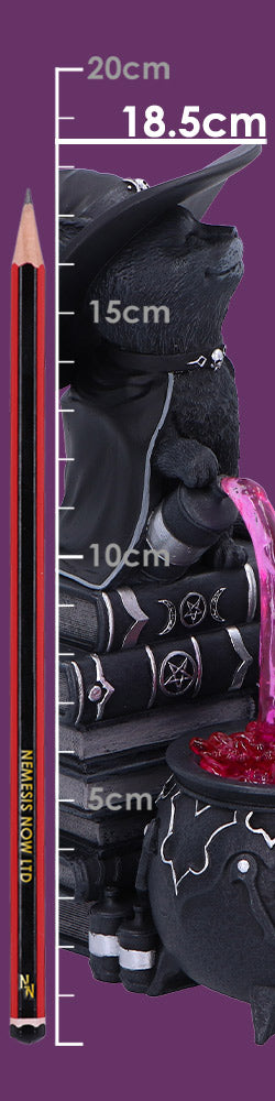 Cult Cuties Curious Cauldron 18.5cm