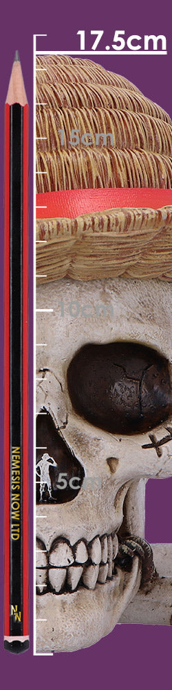 One Piece Luffy Jolly Roger Box 19.5cm