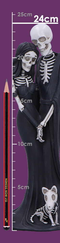 Eternal Companion 24cm