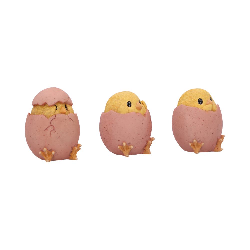 Three Wise Chicks 6.7cm