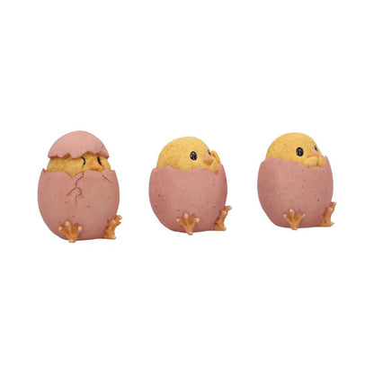 Three Wise Chicks 6.7cm