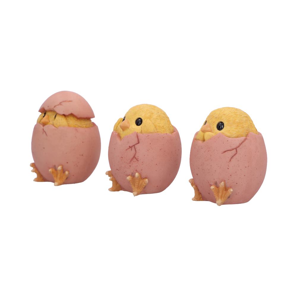 Three Wise Chicks 6.7cm
