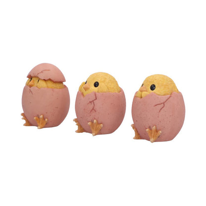 Three Wise Chicks 6.7cm