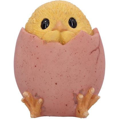 Three Wise Chicks 6.7cm