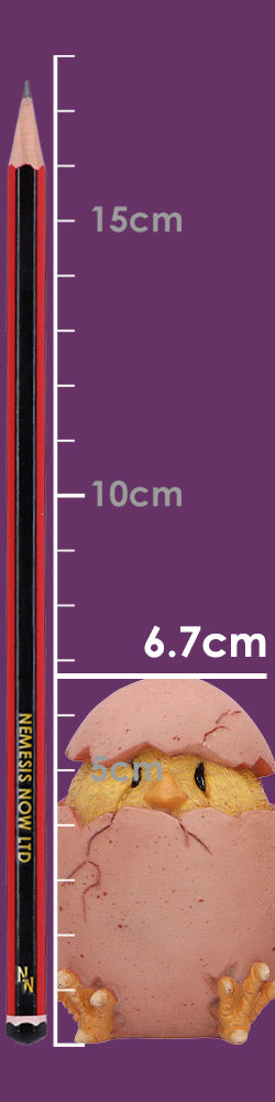 Three Wise Chicks 6.7cm