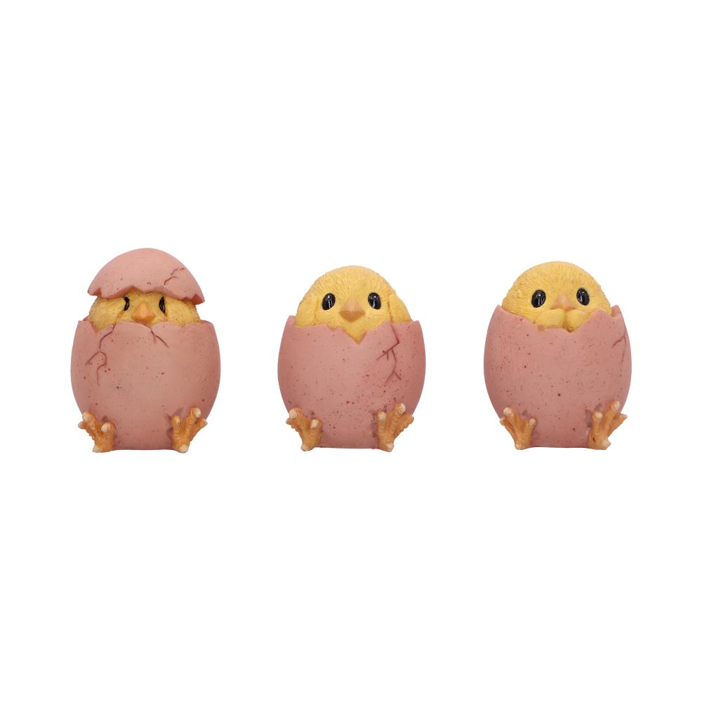Three Wise Chicks 6.7cm