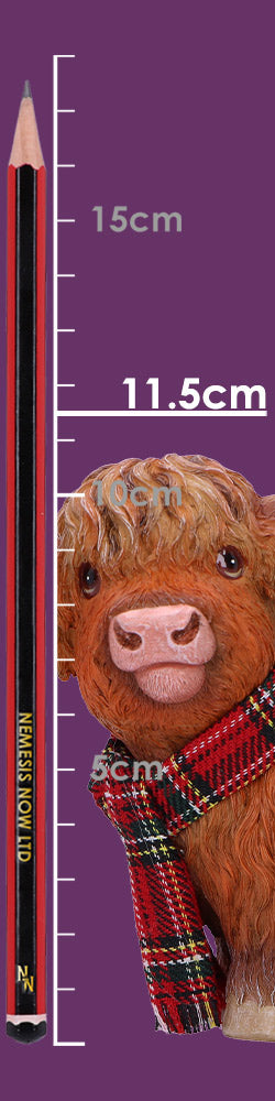 Highland Snug 11.5cm