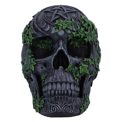 Aged Pentagram Skull 18.8cm