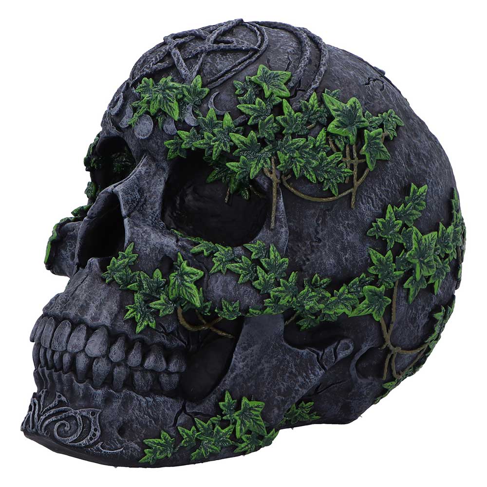 Aged Pentagram Skull 18.8cm