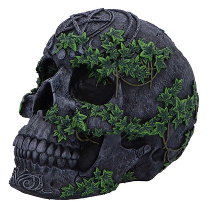 Aged Pentagram Skull 18.8cm