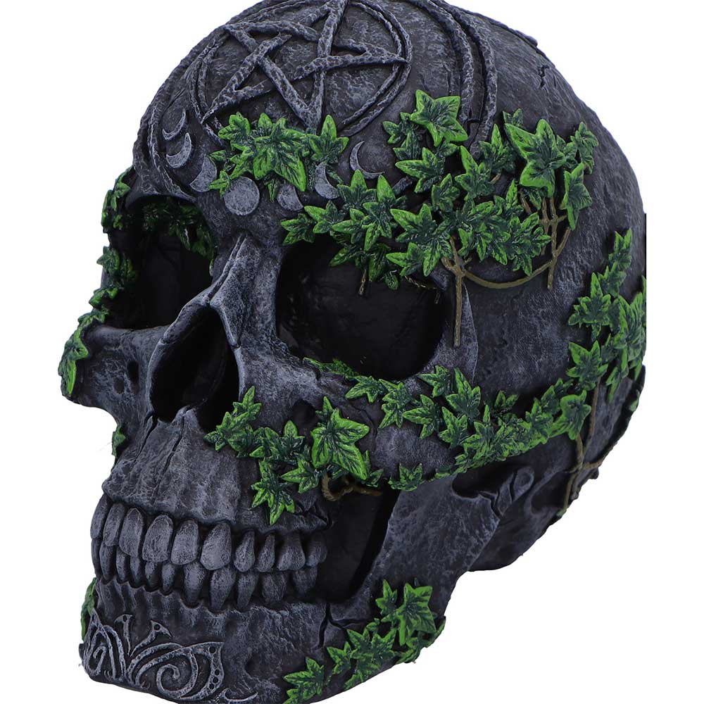 Aged Pentagram Skull 18.8cm