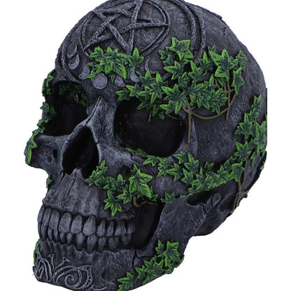 Aged Pentagram Skull 18.8cm