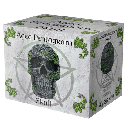 Aged Pentagram Skull 18.8cm