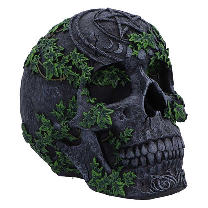 Aged Pentagram Skull 18.8cm