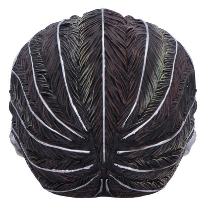 Quoth The Raven 20.2cm