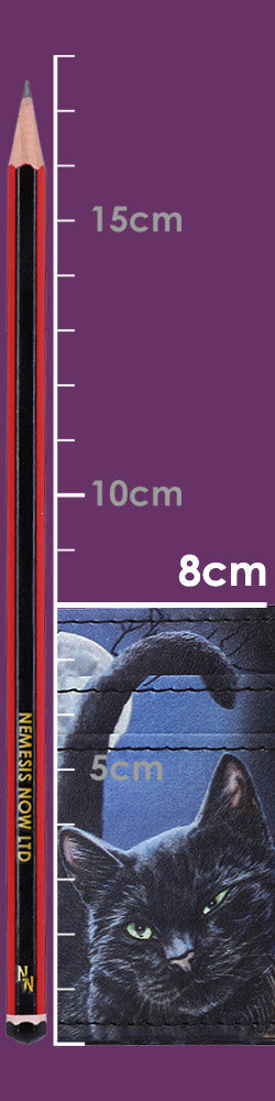 A Brush With Magick Card Holder (LP) 10.5cm