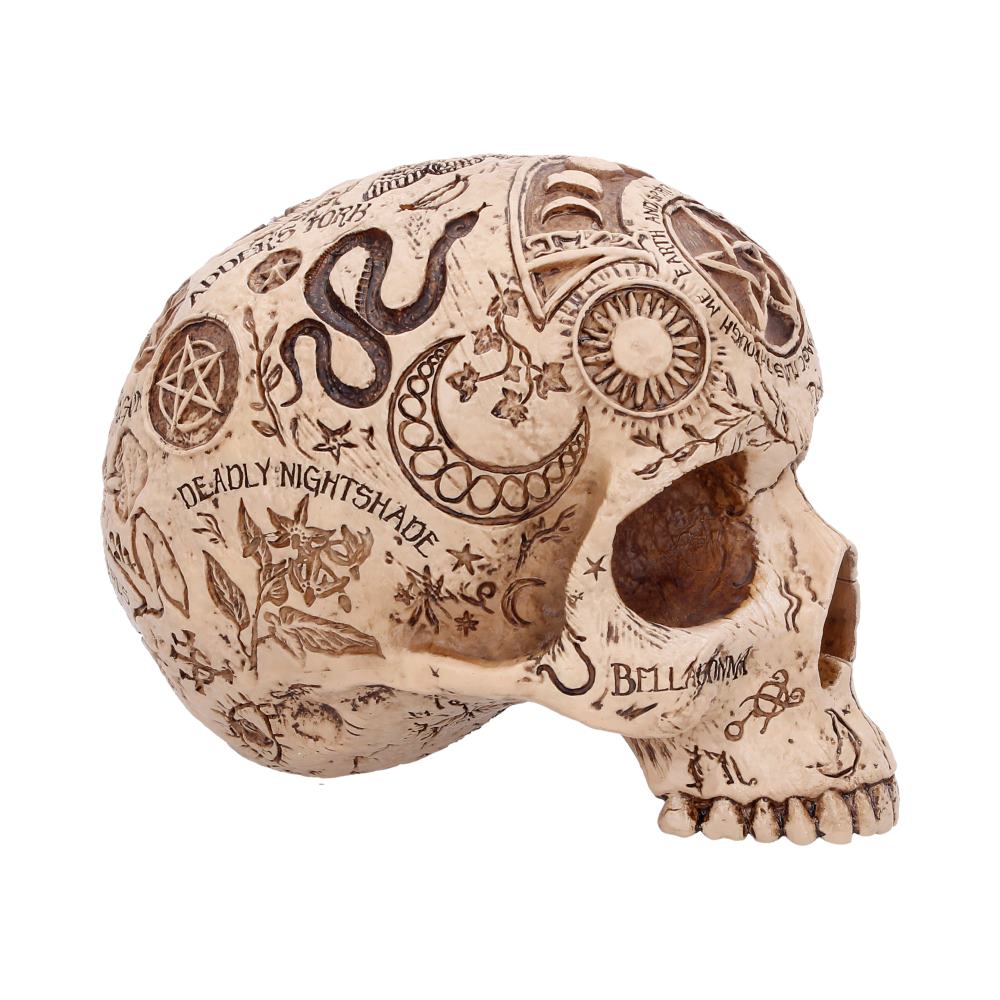 Nemesis Now Apothecary 14cm figurine displayed on a neutral background, showcasing detailed craftsmanship and intricate design.