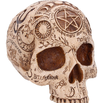 Nemesis Now Apothecary 14cm figurine featuring intricate detailing and a mystical design.