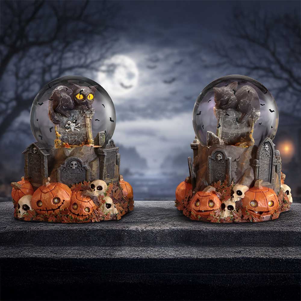 Pumpkin Patch Halloween cat snow globe by Nemesis Now featuring a festive Halloween scene with a cat and pumpkin decorations.