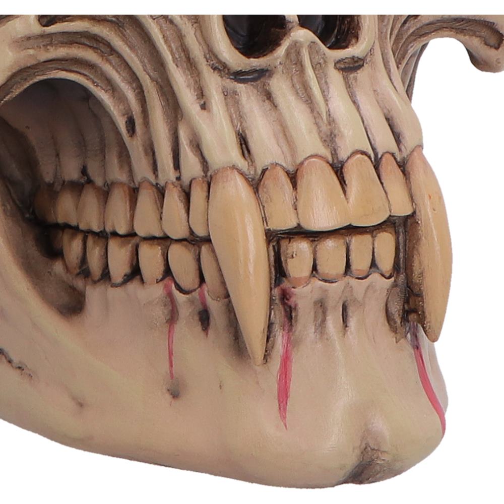 The Lord of the Night Dracula Skull 15.4cm