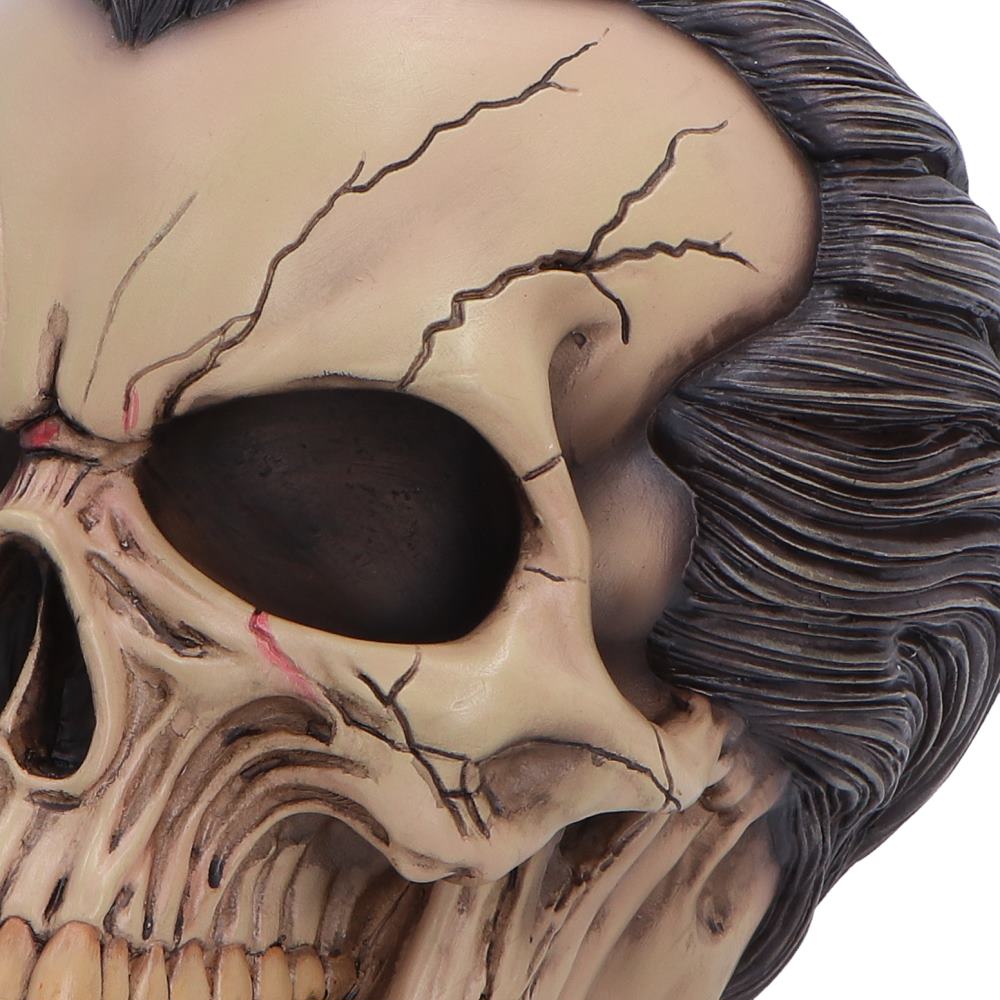 The Lord of the Night Dracula Skull 15.4cm