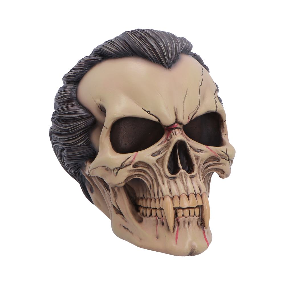 The Lord of the Night Dracula Skull 15.4cm