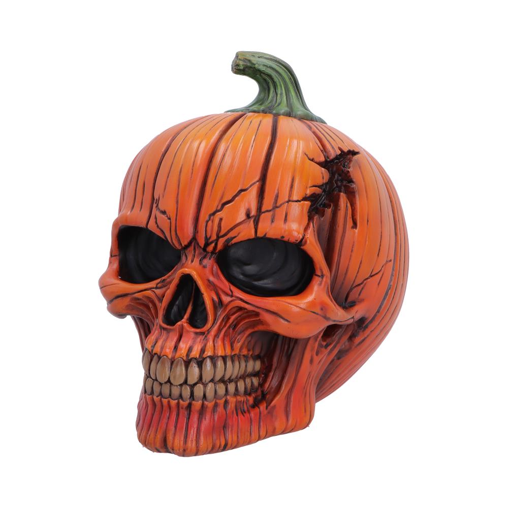Nemesis Now Pumpkin Skull figurine, 17.5cm Halloween decoration with spooky pumpkin and skull design.