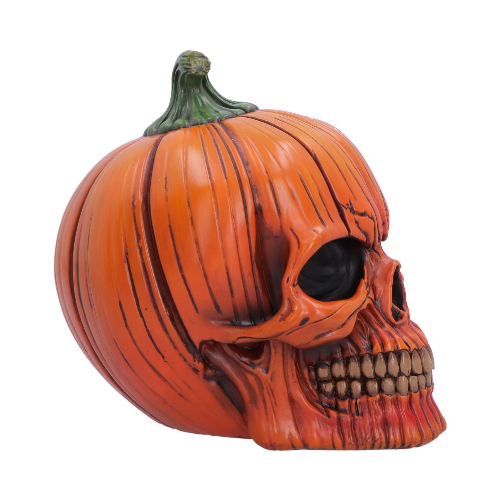 Nemesis Now Halloween Pumpkin Skull figurine, 17.5cm, featuring a spooky pumpkin skull design for Halloween decor.