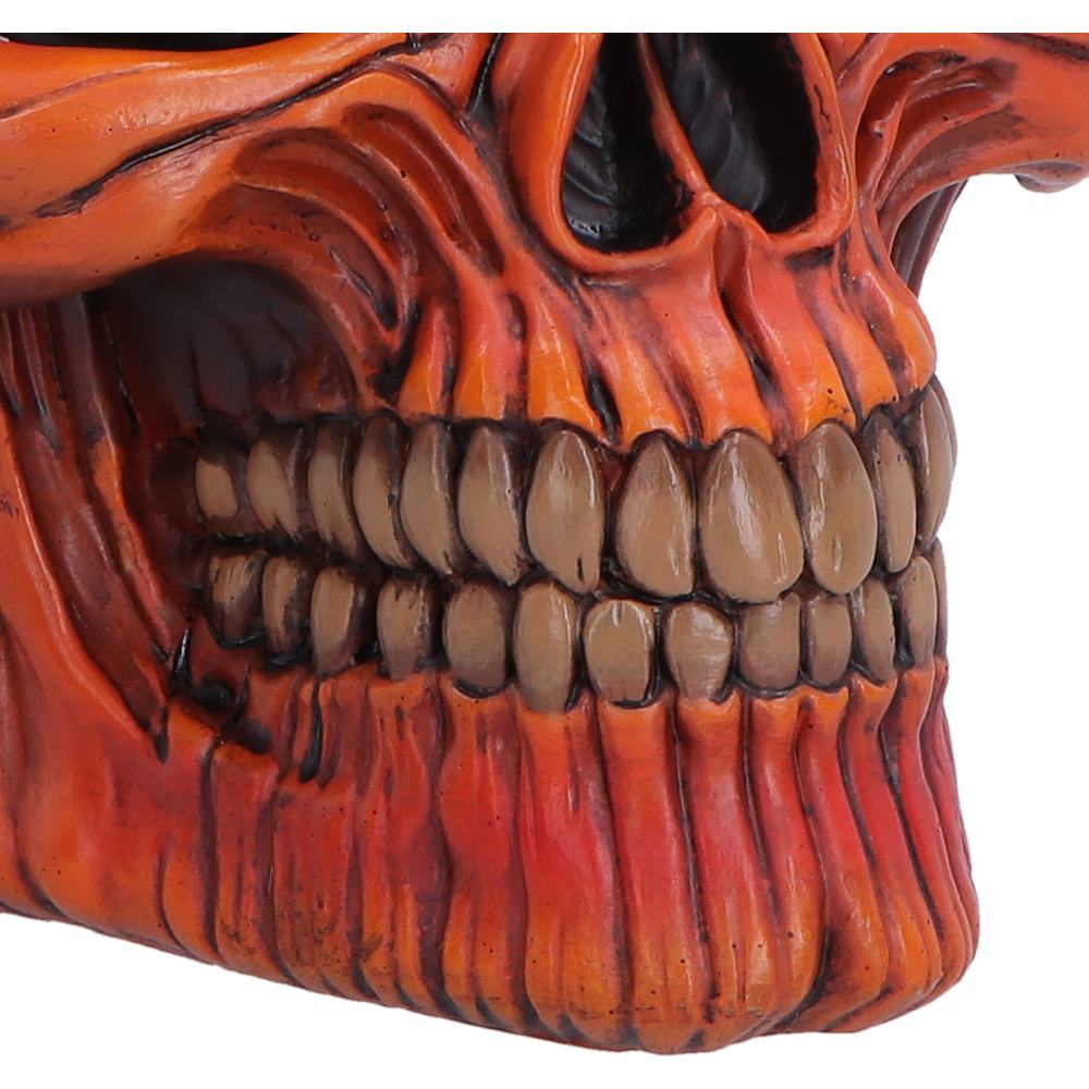 Nemesis Now Pumpkin Skull figurine, 17.5cm Halloween decoration with a spooky skull and pumpkin design.