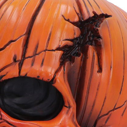 Nemesis Now Pumpkin Skull figurine, 17.5cm Halloween decoration featuring a spooky pumpkin skull design.