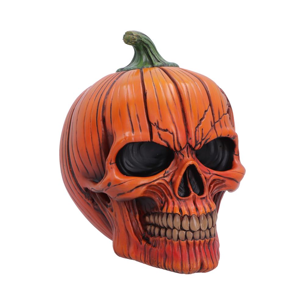 Nemesis Now Pumpkin Skull figurine, 17.5cm Halloween decoration featuring a spooky skull with pumpkin details.