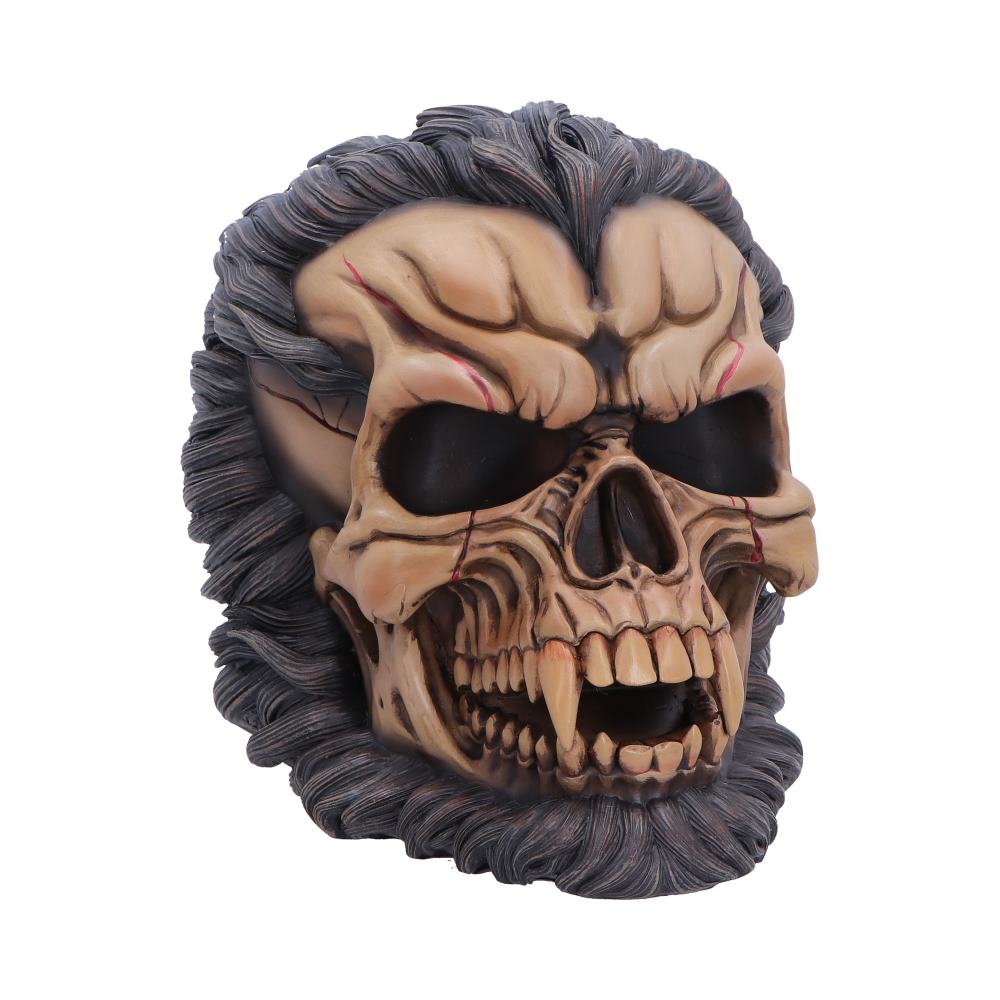 The Beast of the Moon Werewolf Skull 16cm