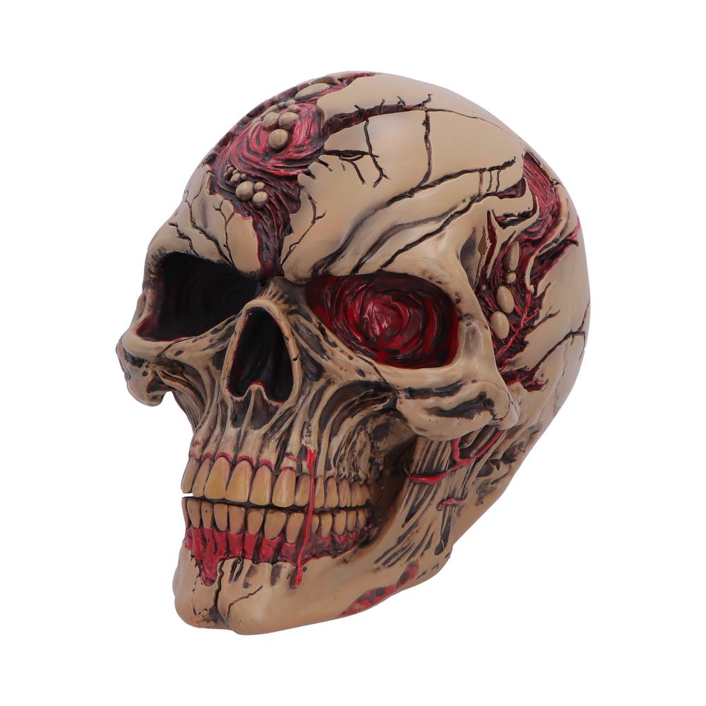Nemesis Now Walker of Death Zombie Skull figurine, 15.5cm tall, detailed undead skull sculpture with dark, eerie design.