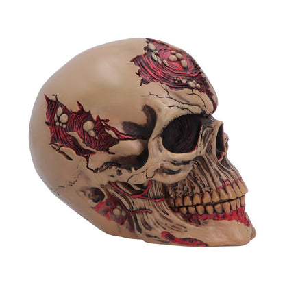 Nemesis Now Zombie Skull figurine, The Walker of Death, 15.5cm tall, detailed undead skull sculpture with eerie features.