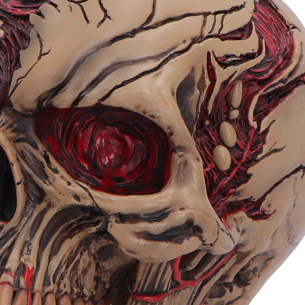 Nemesis Now Zombie Skull figurine, The Walker of Death, 15.5cm, detailed undead skull sculpture for display.