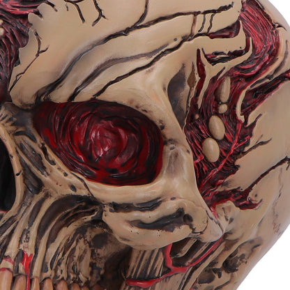 Nemesis Now Zombie Skull figurine, The Walker of Death, 15.5cm, detailed undead skull sculpture for display.