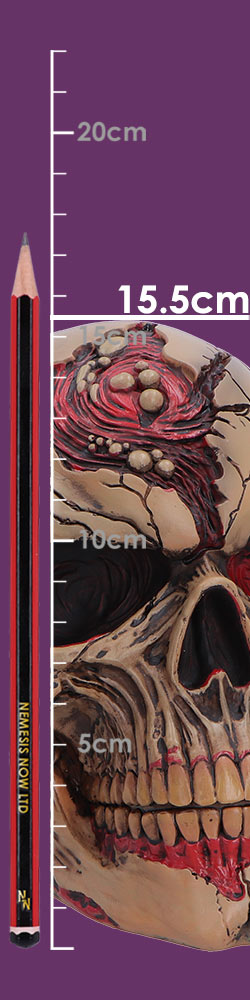 Nemesis Now Zombie Skull figurine, The Walker of Death, 15.5cm tall, detailed undead skull sculpture for horror decor.