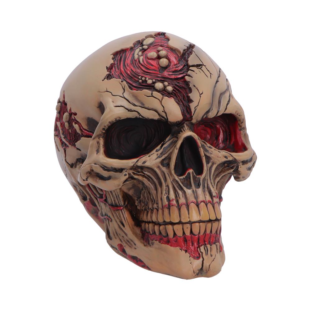 Nemesis Now Zombie Skull figurine, 15.5cm, detailed sculpt of a creepy undead skull for display or collection.