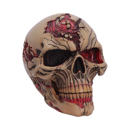 Nemesis Now Zombie Skull figurine, 15.5cm, detailed sculpt of a creepy undead skull for display or collection.