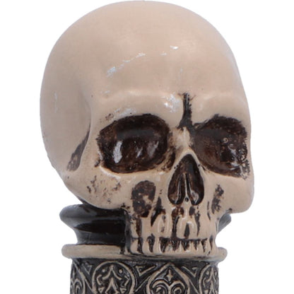 Poison Bottle Figurine 15.5cm