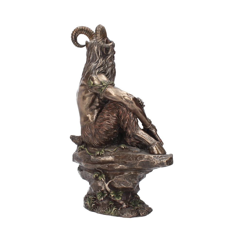 Pan (Large) 30.5cm