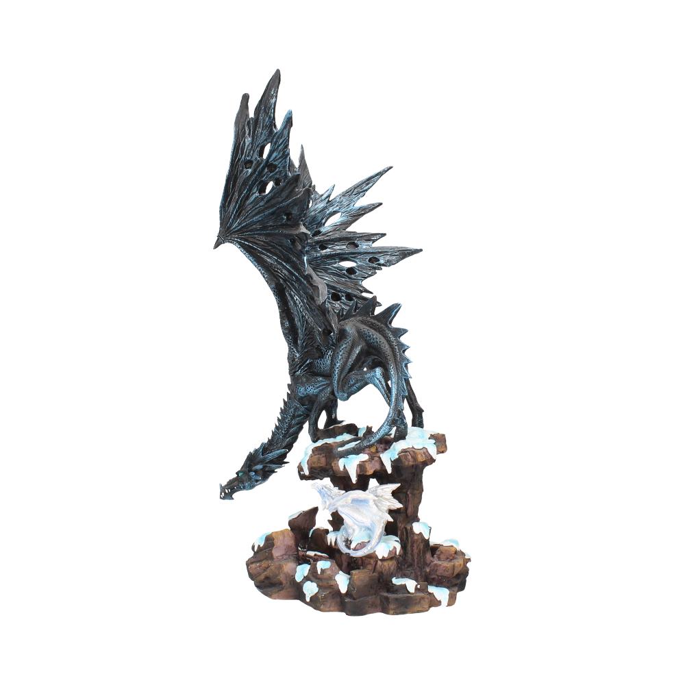 Dragons Wisdom. 47cm