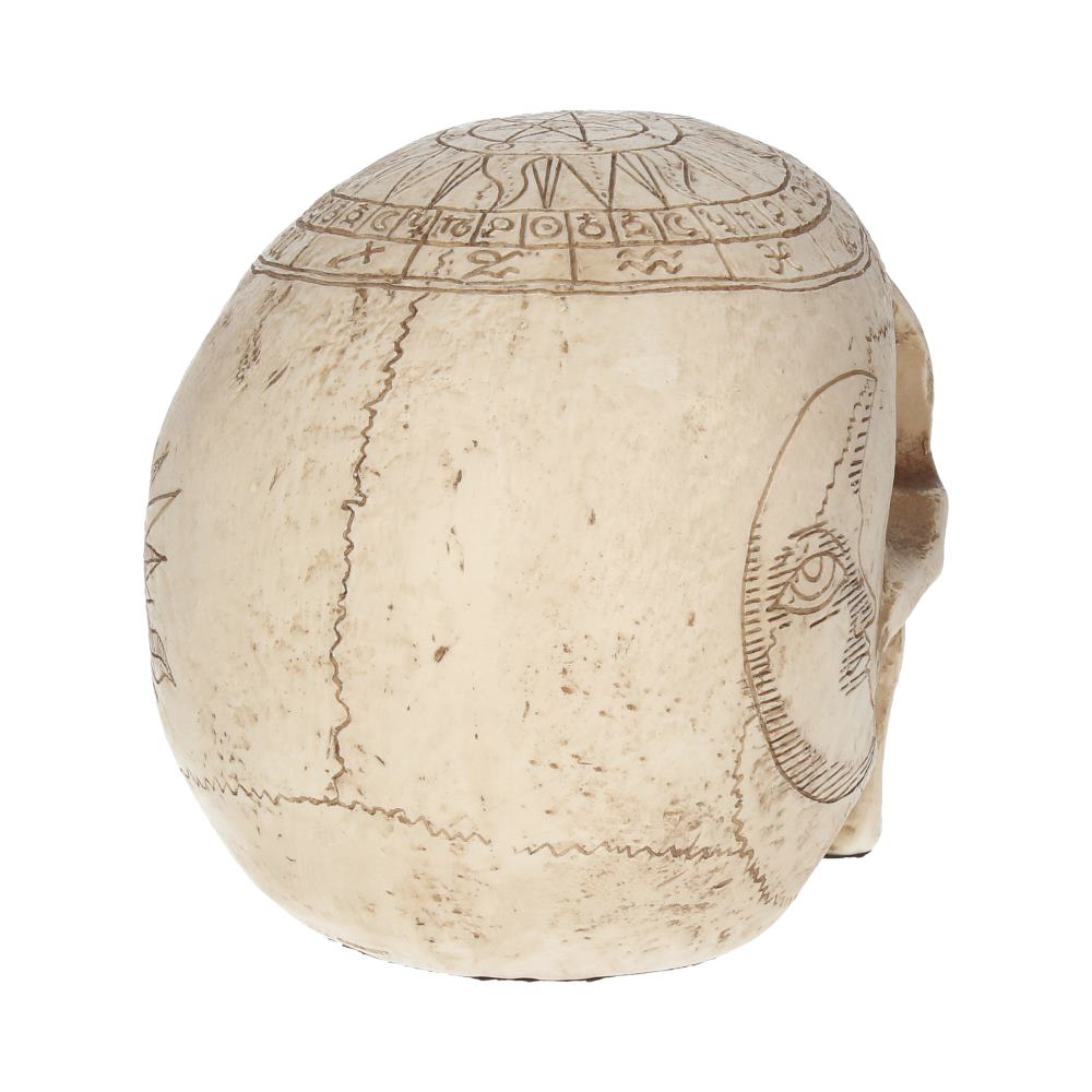 Astrological Skull 20cm