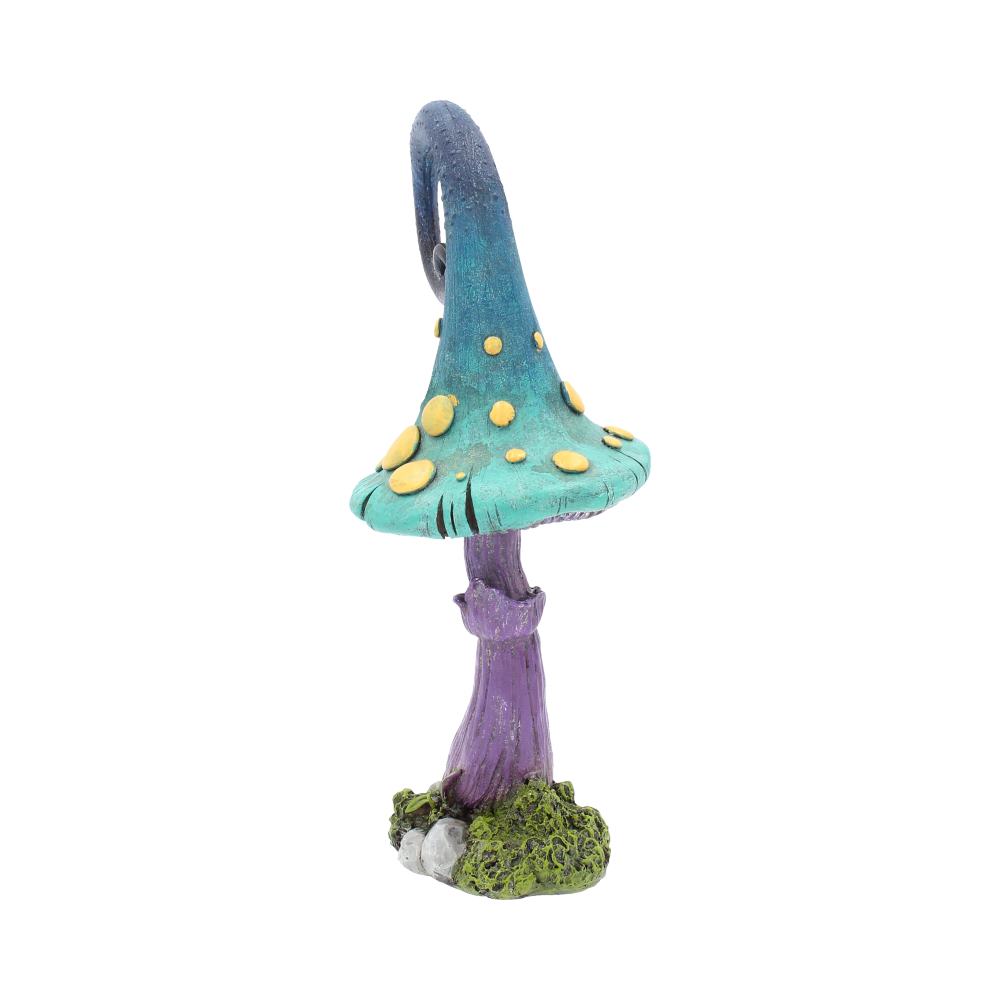 Foolish Fizzy Whizz 24cm