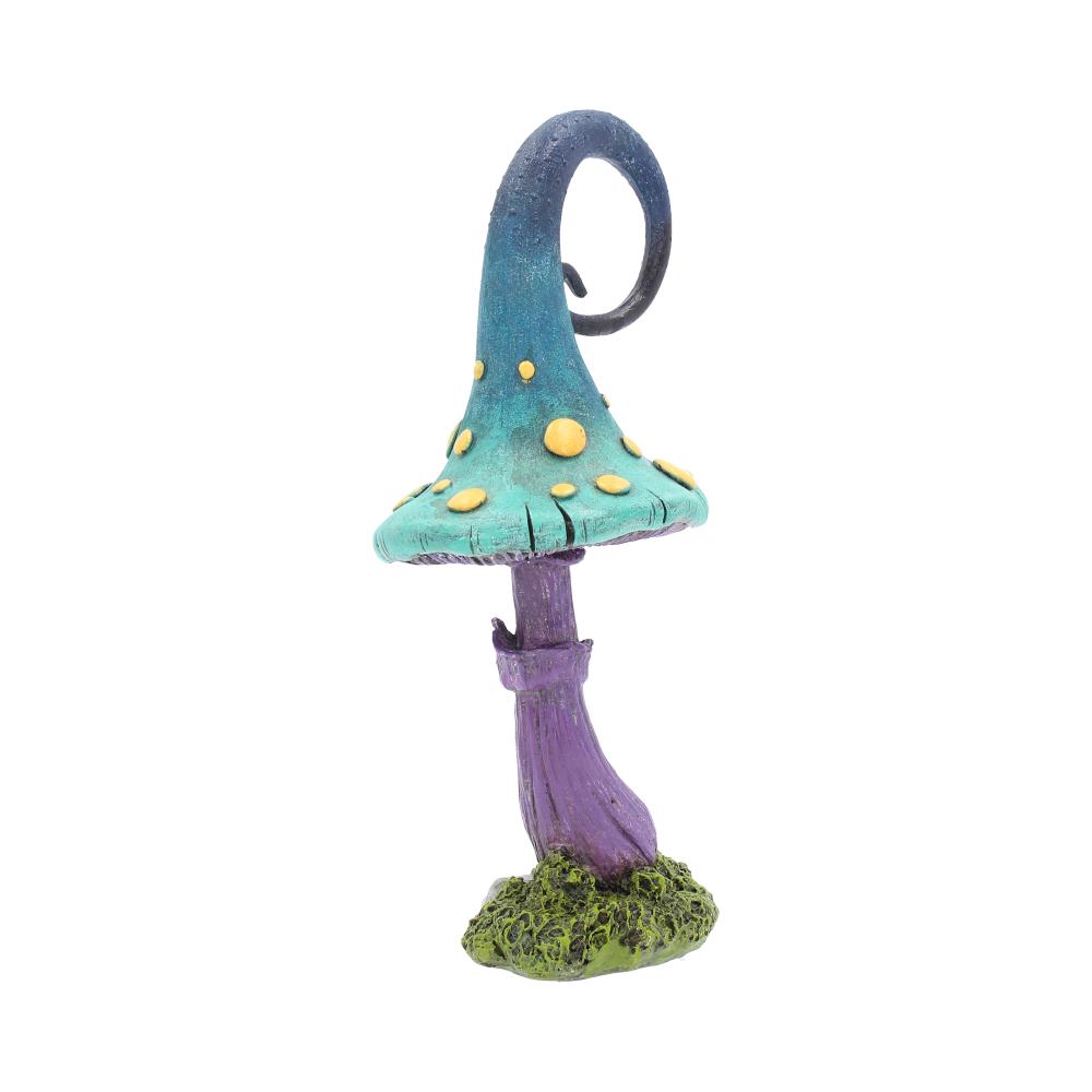 Foolish Fizzy Whizz 24cm