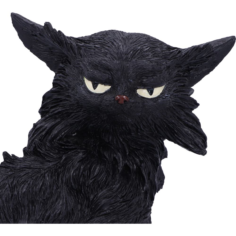 Salem (Small) 19.6cm